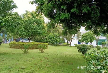 Qishizhen Jiangbin Park