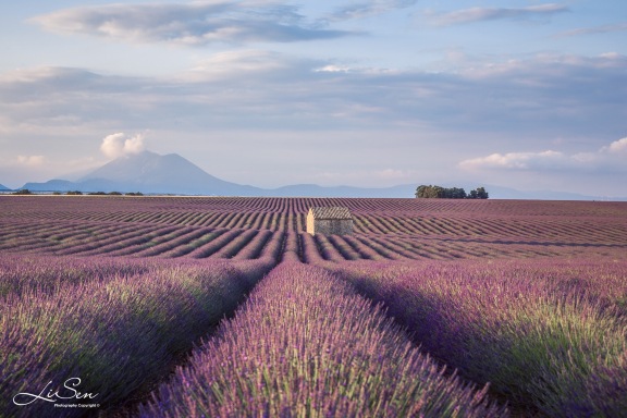 THE 15 BEST THINGS TO DO IN VALENSOLE 2026 visual data 7