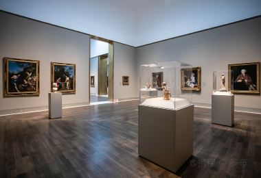 The Houston Museum of Fine Arts Popular Attractions Photos