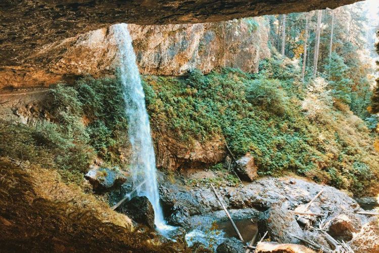 Silver Falls State Park Travel Guidebook Must Visit Attractions In Oregon Silver Falls State Park Nearby Recommendation Trip Com Silver Falls State Park Travel Guidebook Must Visit Attractions In Oregon Silver Falls State Park Nearby Recommendation Trip Com