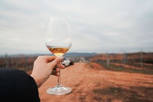 Tokaj,Recommendations