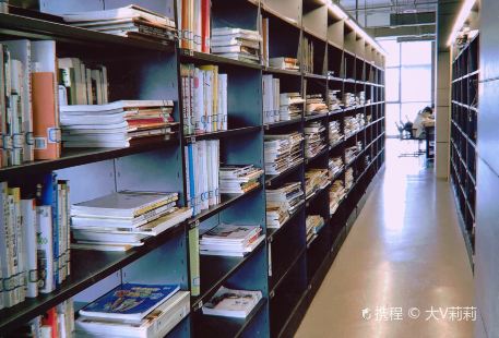 Tonglingxian Library