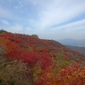 Gongyipanlong Mountain Sceneic Area