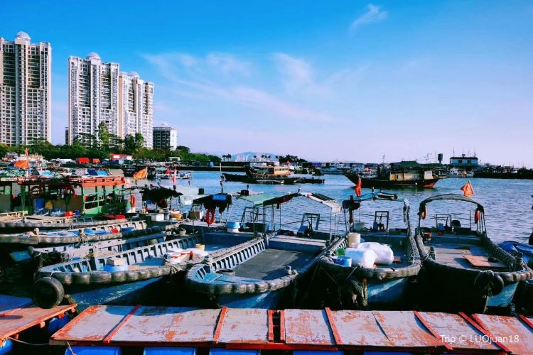 蛇口漁港旅遊攻略指南 蛇口漁港評價 蛇口漁港附近推薦 Trip Com 蛇口漁港旅遊攻略指南 蛇口漁港評價 蛇口漁港附近推薦 Trip Com