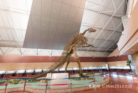 Zhucheng City Dinosaur Park