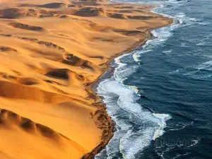骷髅海岸