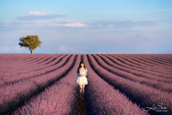 Provence 2022 Top Things to Do Provence Travel Guides Top Provence Attraction