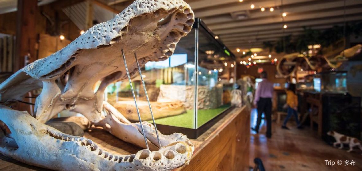 22年ジェファソンの人気観光スポット ジェファソンの旅行ガイド ジェファソンのおすすめ観光スポットのチケット ホテル 楽しみ方 グルメ レストラン Trip Com