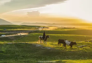 瓊庫什台紫花坡 熱門景點照片