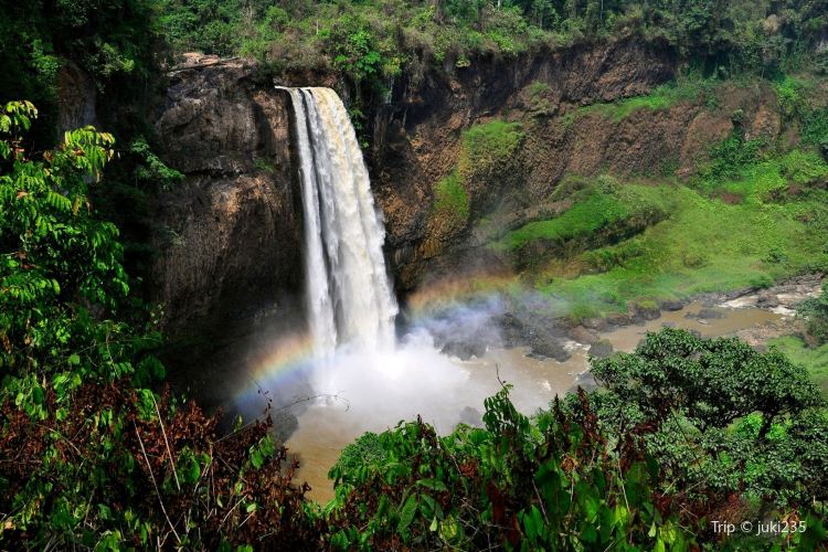 Ekom Nkam Waterfalls Travel Guidebook Must Visit Attractions In Dschang Ekom Nkam Waterfalls Nearby Recommendation Trip Com Ekom Nkam Waterfalls Travel Guidebook Must Visit Attractions In Dschang Ekom Nkam Waterfalls Nearby Recommendation Trip Com