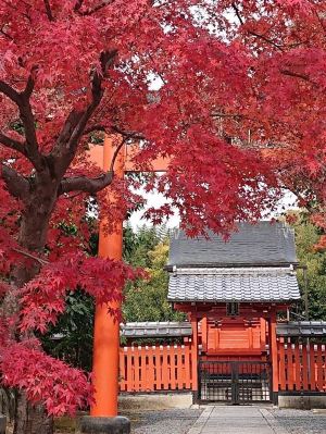 京都,絶景