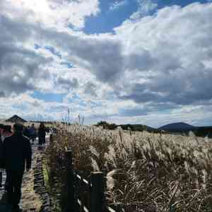 제주도,휴양여행