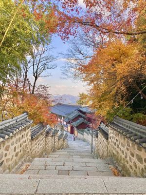 부산,추천 트립 모먼트