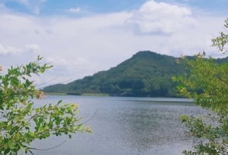 Geumosan Reservoir