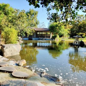 Queensland,Recommendations