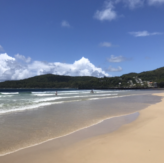 Noosa Heads 2022 Top Things to Do Noosa Heads Travel Guides Top