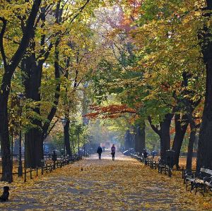 Krakow,Recommendations