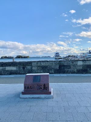 松島町,日本元気プロジェクト2021