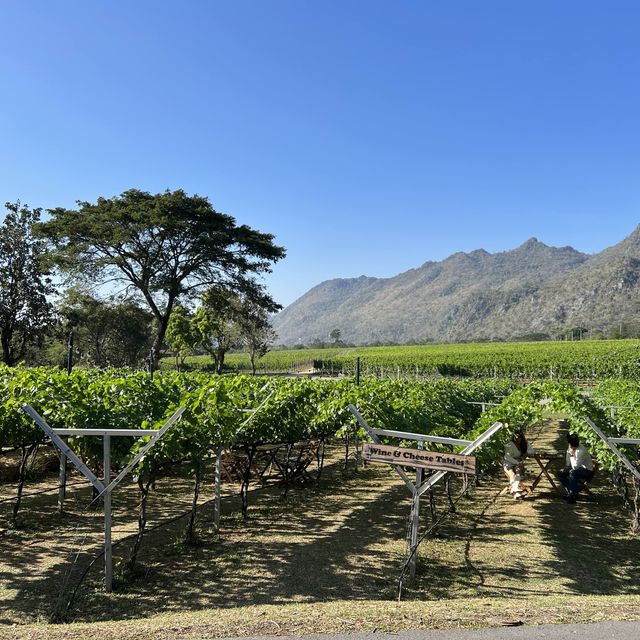 Farm and Wine at Pak Chong (Khao Yai)