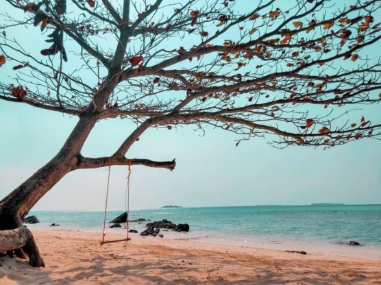 Karimunjawa 2022 Top Things to Do Karimunjawa Travel Guides Top