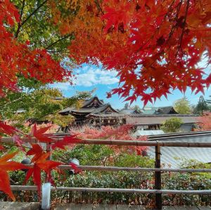 京都,絶景