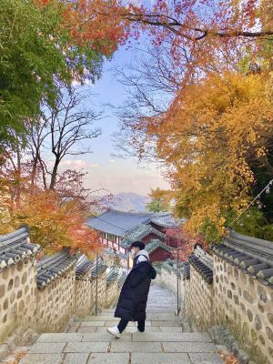 부산,추천 트립 모먼트