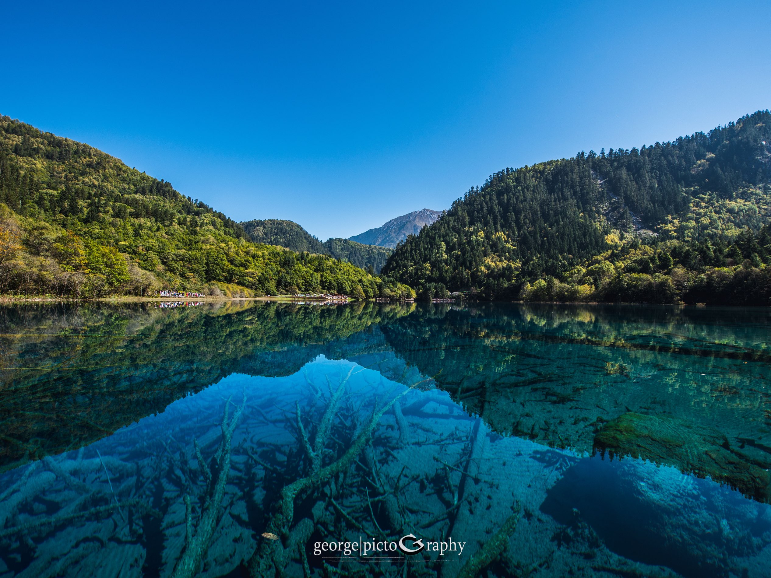 Jiuzhaigou 2022 Top Things To Do Jiuzhaigou Travel Guides Top   1i63h2215ajhbuea812D1 