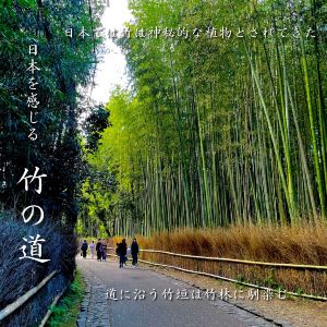 京都,グルメ旅