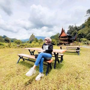 Bukittinggi,Các đề xuất