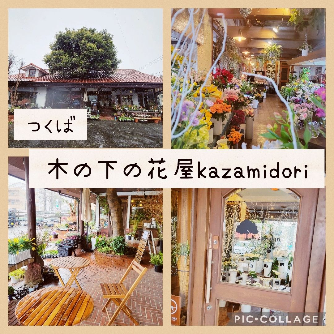 つくば 木の下の花屋kazamidori Trip Com つくばの旅のブログ つくば 木の下の花屋kazamidori Trip Com つくばの旅のブログ