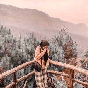Bandung,Các đề xuất