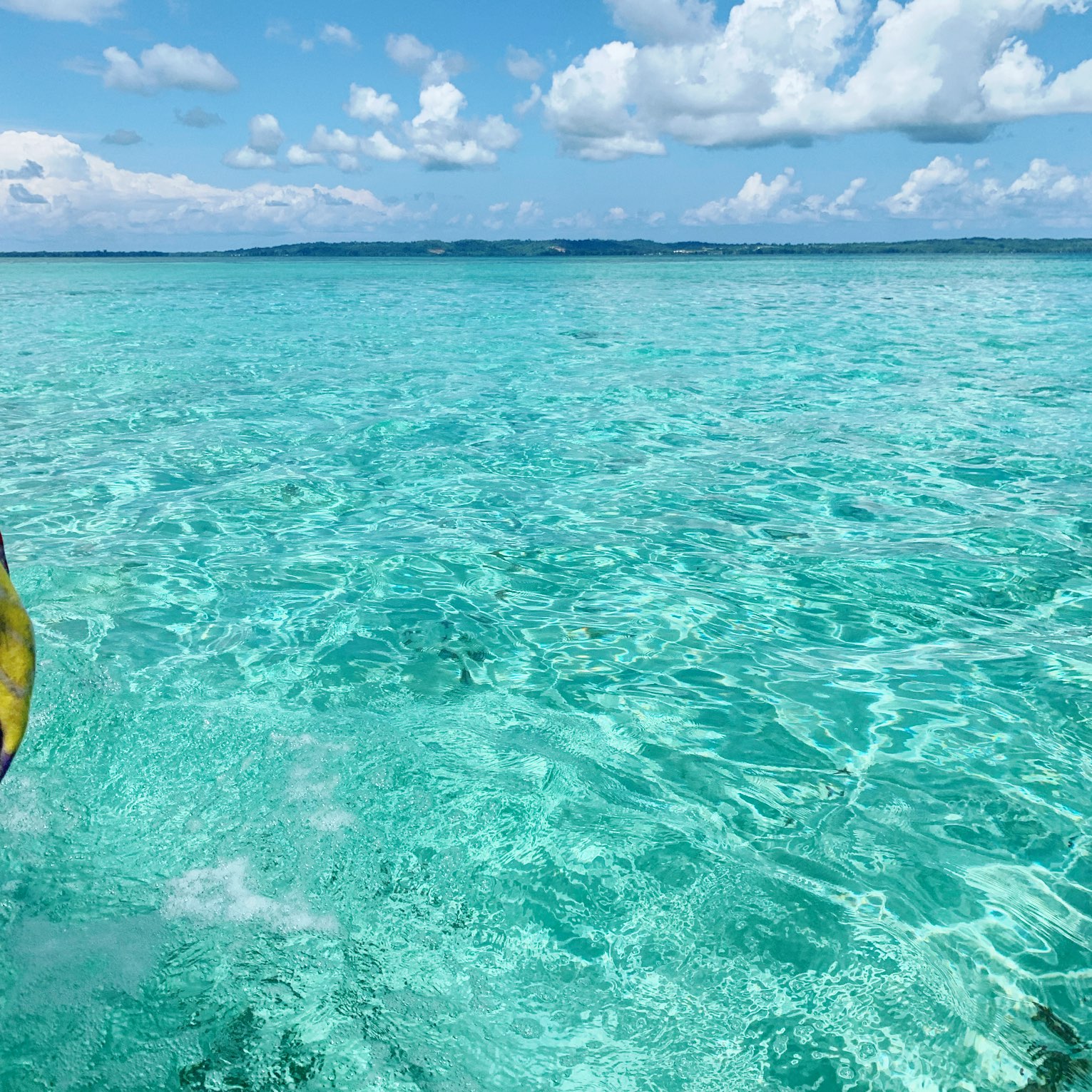 Papua New Guinea 2022 Top Things to Do Papua New Guinea Travel Guides