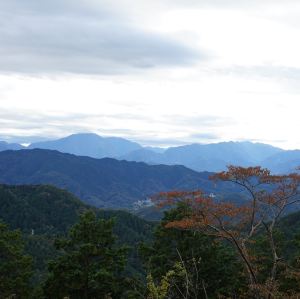 東京,絶景