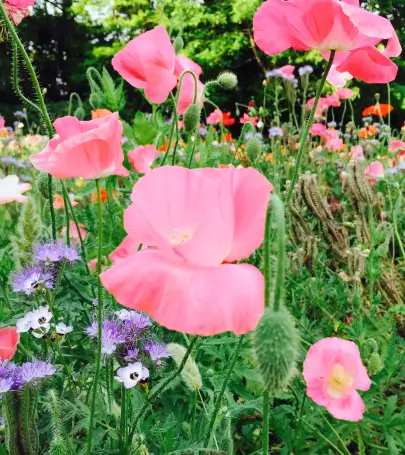 絶対に行くべき名古屋の観光スポット トリップドットコム