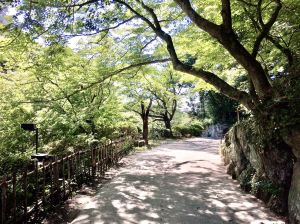 武雄,絶景