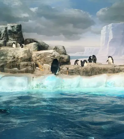 絶対に行くべき愛知県の観光スポット トリップドットコム