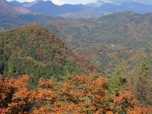 甲府,絶景