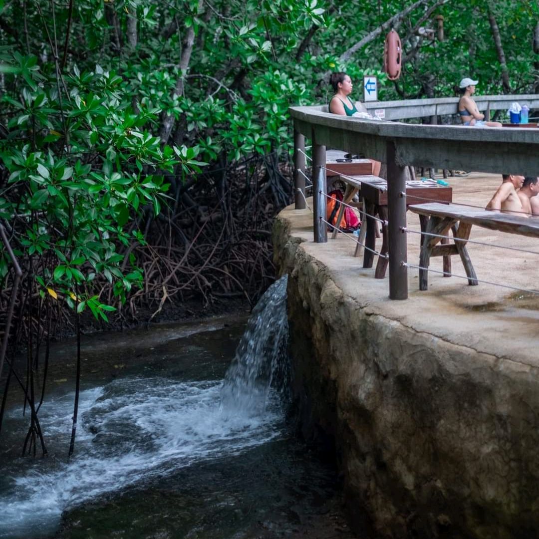 Mimaropa 2022 Top Things to Do Mimaropa Travel Guides Top