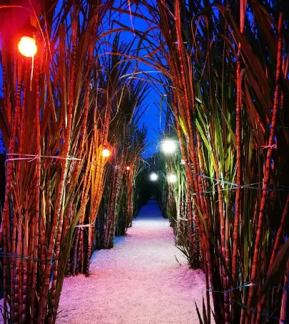 10 Best Things To Do In Sungai Besar Sabak Bernam Sungai Besar Travel Guides 2021 Trip Com