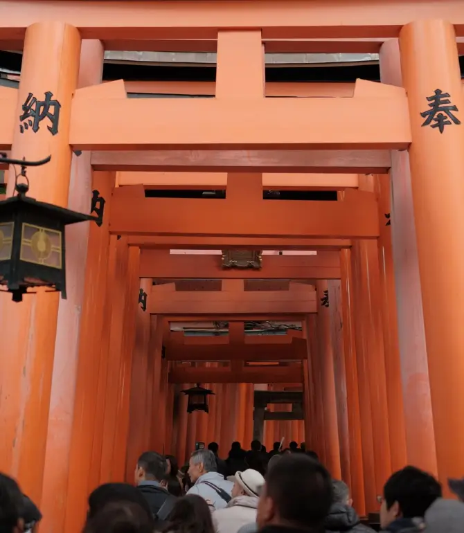 Named the Fushimi Inari Shrine, this place is one of the most visited and popular attraction in Kyoto Japan! The main attraction is the thousands of orange tori gates in this area. 

Over here, visitors can choose to take a 3 hours hike up to the summit, but if you do not have so much time, you are free to walk as far and make a u-turn at any point of time. 

You may also spot a dozen of fox statues along the way, as they are considered the messenger of gods and is particular associated with the God of Rice. 

As this place is really popular, it can get really crowded so for photographers who wish to take a empty shot of the plate are encouraged to come as early as possible. 

Admission is free of charge and the shrine is easily accessible via public transport. It is merely right outside from the JR Inari station. 

#momentssg #unforgettableexperiences #japan #travelinspiration