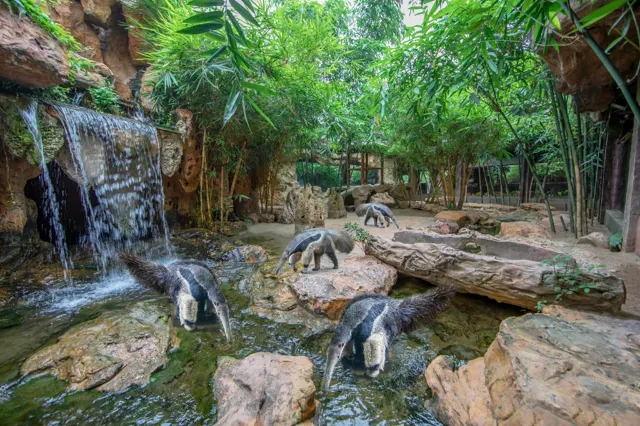 foshan itinerary