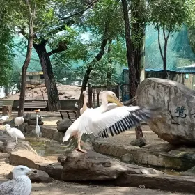 Ha'erbin Niaoyulin Zoo