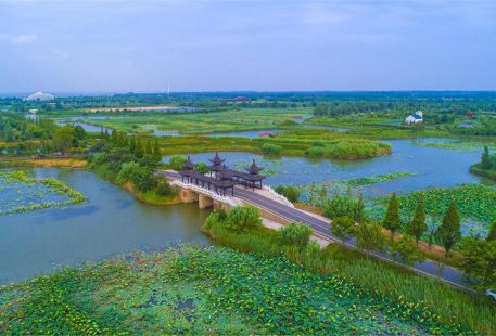 Sihong Hongze Lake Wetland
