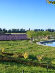 Ipar Khan Lavender Tourist Park