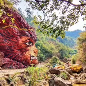 Nanhai Bay Forest Ecological Park