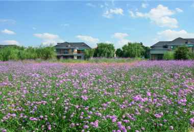 Qianlong Lake Eco-tourism Resort 명소 인기 사진