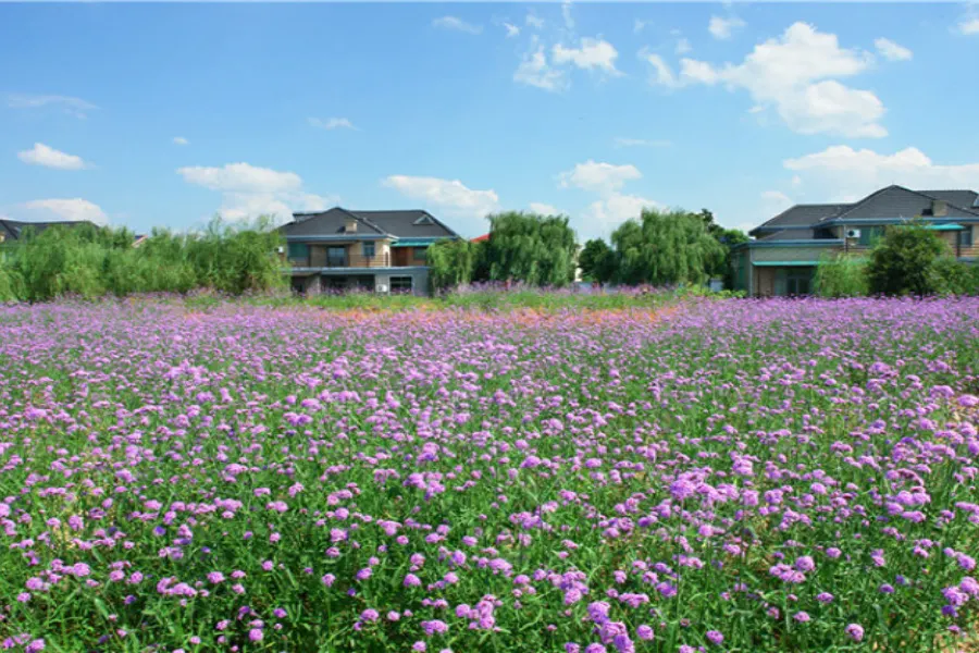 Qianlong Lake Eco-tourism Resort1