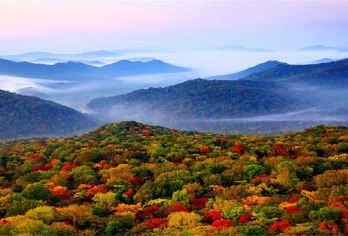 Jinlong Mountain National Forest Park 명소 인기 사진