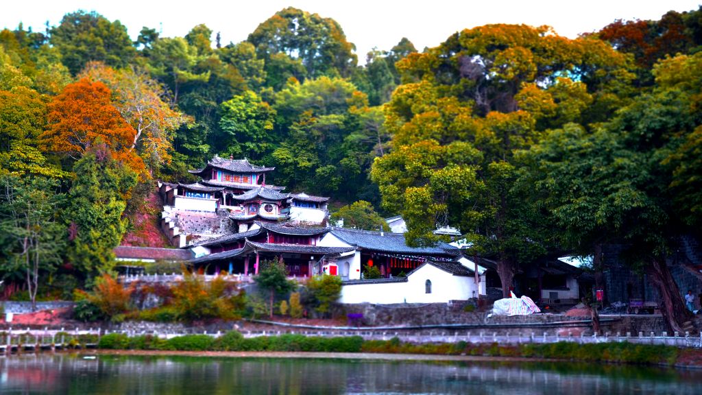 화순고진