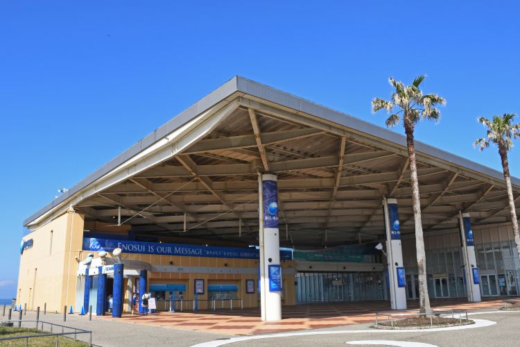 藤沢 新江ノ島水族館 評判 案内 トリップドットコム 藤沢 新江ノ島水族館 評判 案内 トリップドットコム